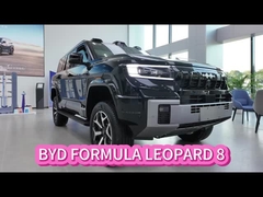 BYD 方程式 レオパード 8